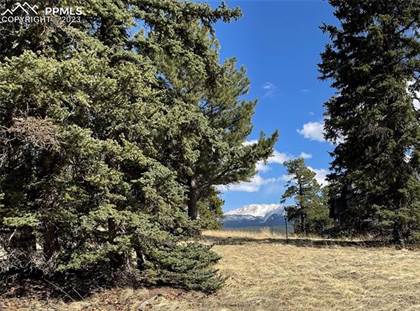 Picture of 405 Silvermoon Heights, Divide, CO, 80814