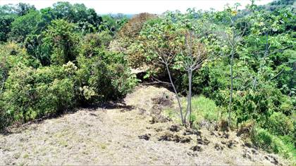 Land For Sale at 8 ACRES - Beautiful Mountain View Property With Plenty ...