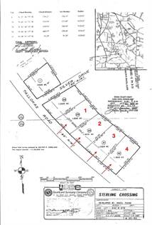 Lot# 3 Tallokas Road (See Derestions) 3, Moultrie, GA, 31768