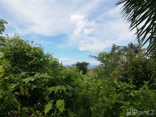 Investment Opportunity lots in Ostional, Ostional, Guanacaste