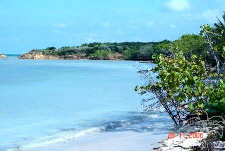 Wonderful Property Included Permission for Private or Tourist Projects, Manabí