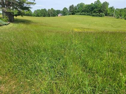 Tbd Carsonville Rd, Independence, VA, 24348
