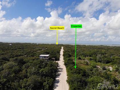 belize secret beach caye ambergris property road main