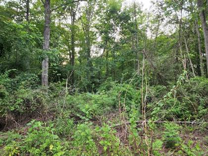Picture of 0-Lot 19 Oriole Court, Bedford, VA, 24523