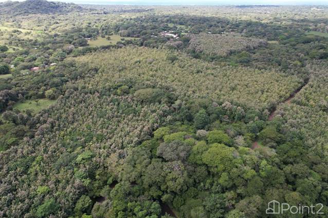 Farm For Sale With Commercial Activity – 20 Acres, Guanacaste - photo 24 of 24