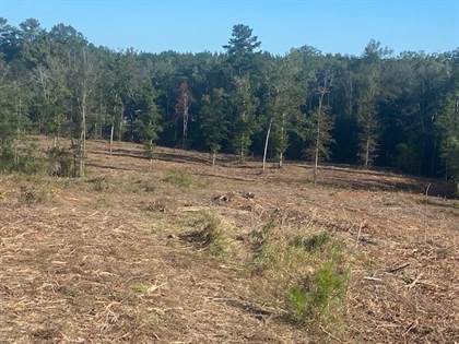Picture of TBD Howard Brothers Rd, Waynesboro, MS, 39367