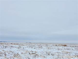 Avonlea 800 Acres Hay & Pasture, Bratt's Lake Rm No. 129, Saskatchewan