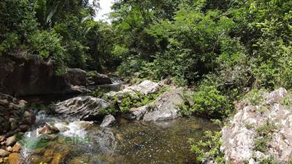 Lots And Land for sale in Barton Creek Area, Cayo, Belize