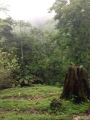 AGUAS ZARCAS 4,446  ACRE PRIMARY FOREST PROPERTY, Puerto Limon, Limón