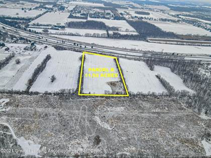 Lots And Land for sale in 0 Tubbs Rd Parcel B, Charlotte, MI, 48813