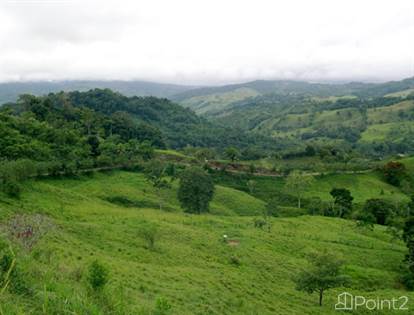 Reforestation and Sheep & Cattle Farm - 50 Acres, Tres Piedras, Puntarenas