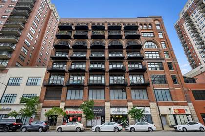 1503 S State Street 501, Chicago, IL, 60605
