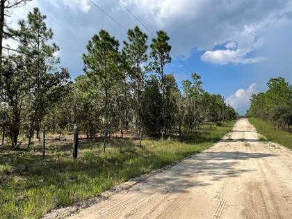 Picture of 250 146th Ter, Williston Highlands, FL, 32696