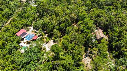 RANCH FOR SALE IN THE MIDDLE OF THE JUNGLE OF TULUM  3 COTTAGE  SELF-SUSTAINABLE  JS22, Tulum, Quintana Roo