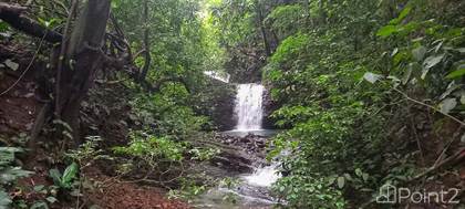 598 Acres With River Frontage, Blue Water Views, Gentle Rolling Hills, Waterfalls And Cascades., Barú, Puntarenas
