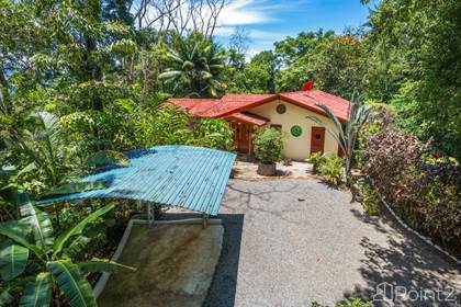 Finca Aracari – Your Natural Zen Awaits - 9.17 Acres, Puntarenas - photo 3 of 48