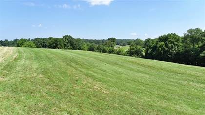 Holland Road TRACT  7, Scottsville, KY, 42164