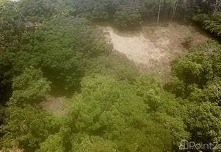3.7 ACRES - Beautiful Property Just Steps Off The Paved Road, 15 Minutes To Dominical!!!, Platanillo, Puntarenas