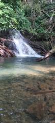 129 ACRES – Beautiful Farm With Rivers and Waterfalls And Tons Of Usable land!!!!!, Platanillo, Puntarenas