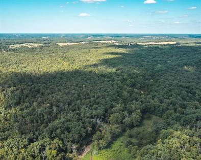 TBD Highway J- Tract 9, Collins, MO, 64738