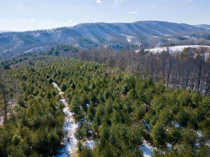 Lots And Land for sale in Tbd Wilderness/Wesendonck Rd., Bland, VA, 24315