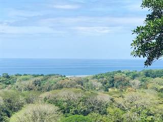 Hatillo Commercial Development Land 5 Minutes from Dominical – 54.4 Acres, Dominical, Puntarenas