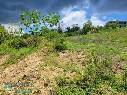Lots And Land for sale in Punta ROAD 413 KM 4.8 INT BUENA VISTA, Rincon, PR, 00677
