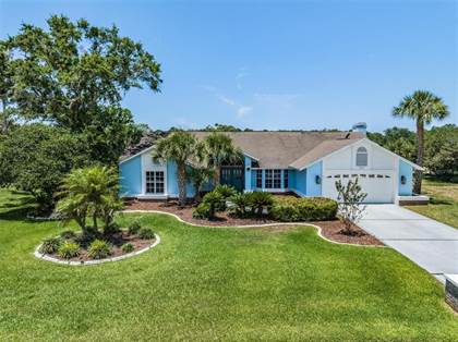 Picture of 4263 RIVER BIRCH DRIVE, Spring Hill, FL, 34607