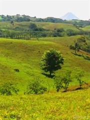 20 Hectares with Volcano and Lake View!  New Arenal, Arenal, Guanacaste