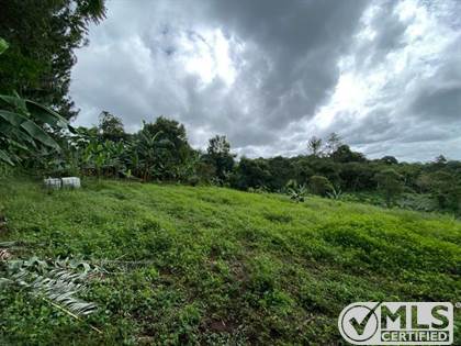 Chiriqui, Potrerillos, Lote De 1.3 Ha, Dolega, Chiriquí — Point2