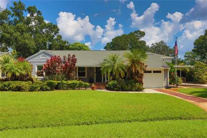 Picture of 919 W CANDLEWOOD AVENUE, Tampa, FL, 33603