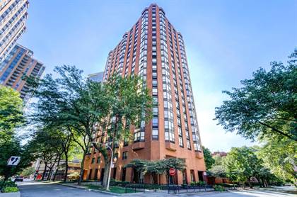 901 S Plymouth Court 101, Chicago, IL, 60605