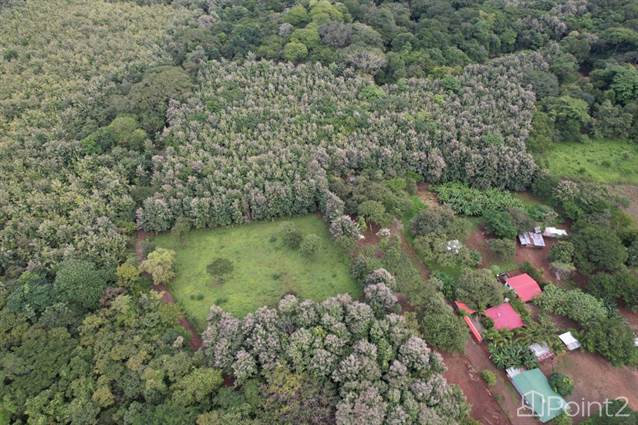Farm For Sale With Commercial Activity – 20 Acres, Guanacaste - photo 18 of 24