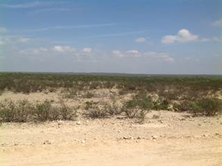 Heritage Canyon Ranch (Phase I), Tract 7, Dryden, TX, 78851