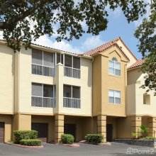 2 Bedroom Apartments For Rent In St Petersburg Fl Point2