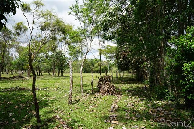 Over 6 Acres of Beautiful Riverfront Land Plus Baru View in Guayabal, Boqueron - photo 8 of 13