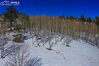 Picture of 81 Strong Court, Cripple Creek, CO, 80813