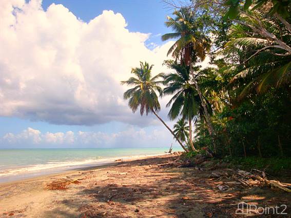 Land For Sale at 15000 Playa Paraiso Magante (Sab), North Coast, Maria ...