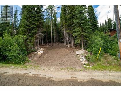 Land For Sale at 145 Cougar Road, Mount Baldy, British Columbia, V0H1B0 ...