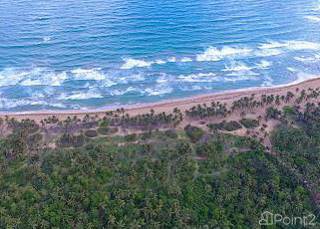 Uvero Alto Ocean Front Land Investment Punta Cana, Uvero Alto, La Altagracia
