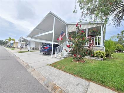 3113 State Road 580 83, Clearwater, FL, 34695