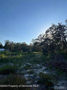 Lots And Land for sale in 13080 Marbled Godwit Rd, Annutteliga Hammock, FL, 34614