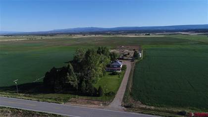 37661 Highway 145, Redvale, CO, 81431