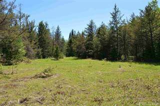 0000 Co Rd CL Marquette County CL, Ishpeming, MI, 49849