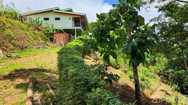 Single Level Home in Platanillo with Creek and Mountain Views, Puntarenas - photo 68 of 75