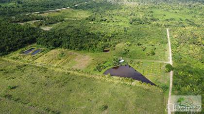 Farm And Agriculture for sale in Belize 6 acres of fertile land with Pond Near Spanish Lookout, Spanish Lookout, Cayo