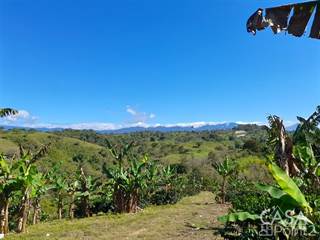 Crops Farm with a Nice House on Nearly 16 Acres in Renacimiento, Chiriqui, Chiriquí