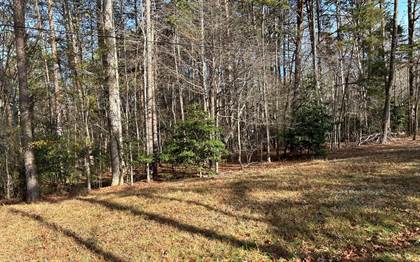 Picture of MOCASSIN RD AND WILM Lot 2, Blairsville, GA, 30512