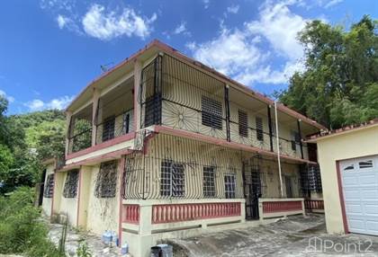 Residential Property for sale in Bo Cotto Quebrada, Peñuelas, Coto, PR, 00624