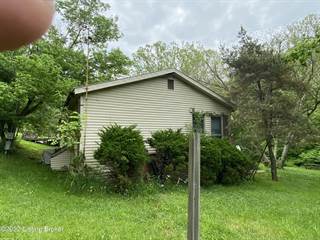 550 S Kendall Rd, Worthville, KY, 41098